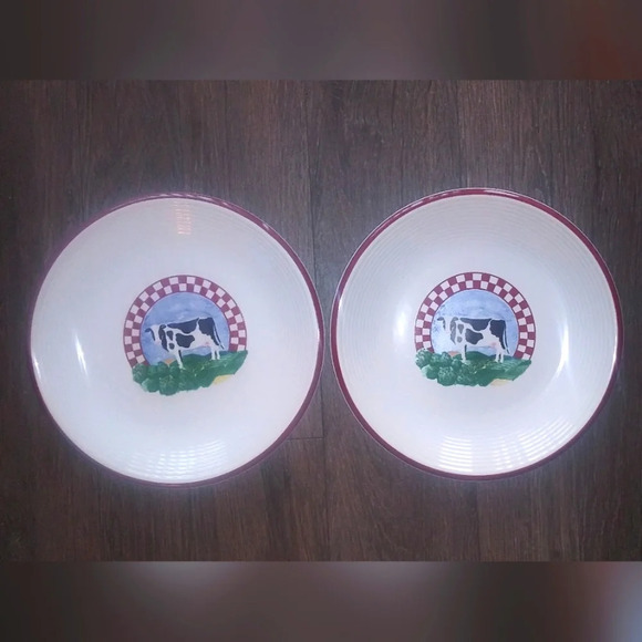 CENTURY STONEWARE Fannie's Farm Salad/Dessert Plate | 11" set of two - Picture 6 of 7